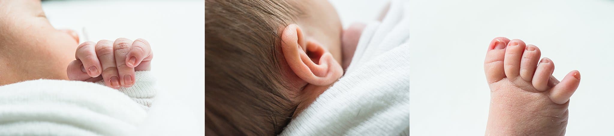 charleston newborn photographer