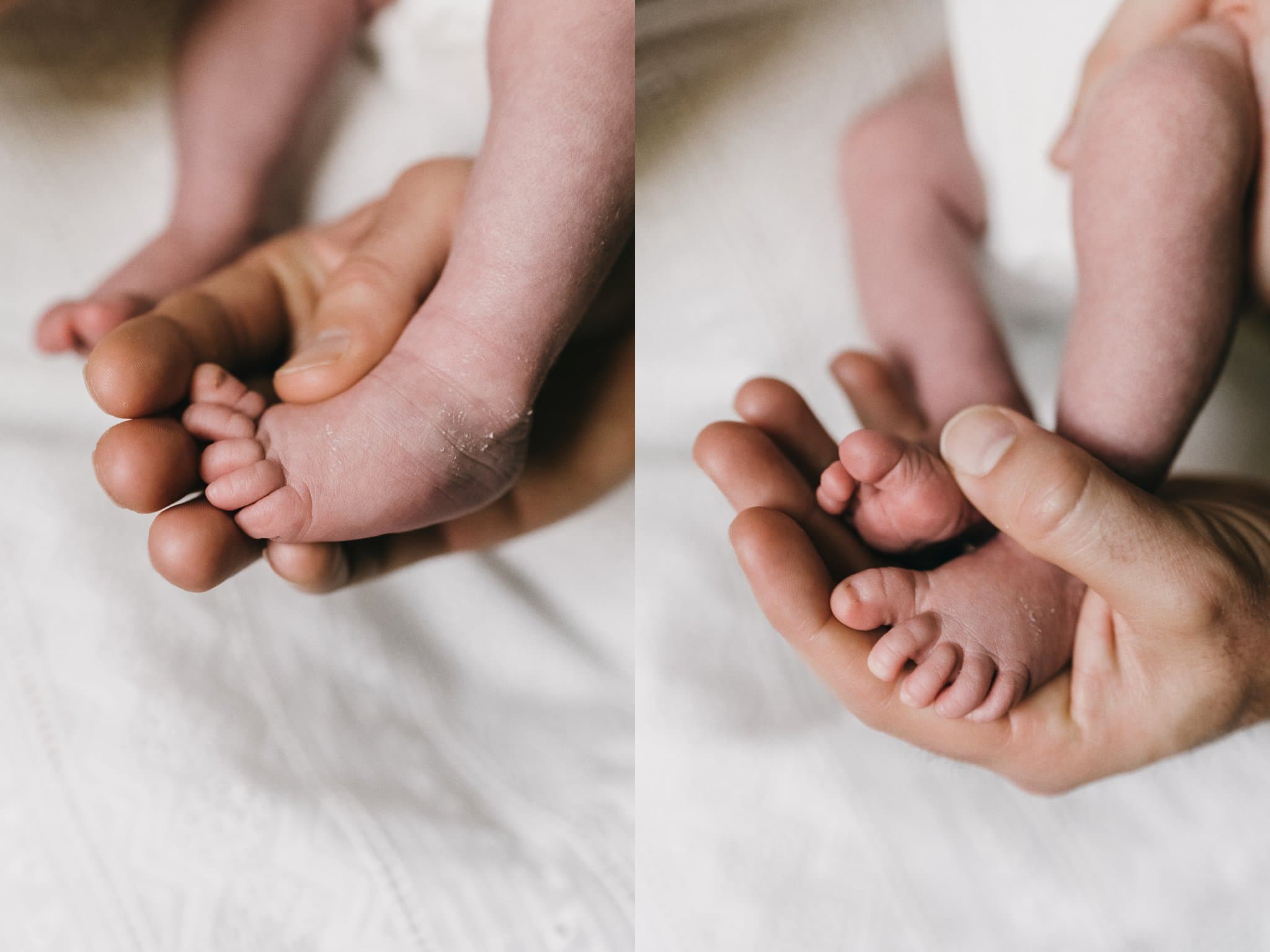 Charleston newborn photographer