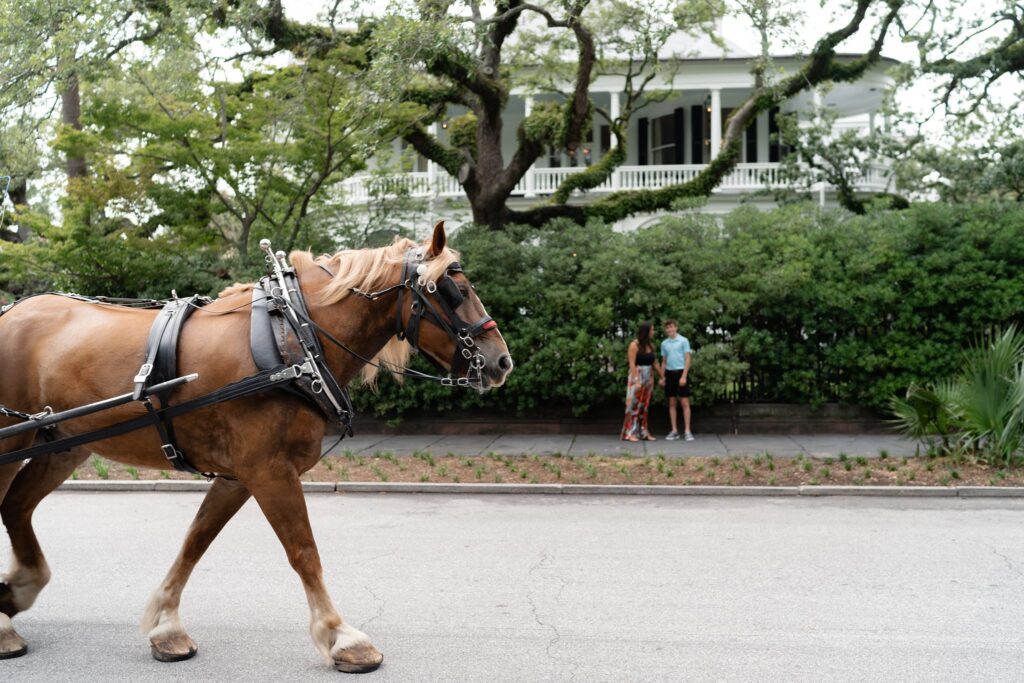 A large brown horse fitted with a harness walks down a street lined with greenery and trees, with a white two-story house in the background. Two people, a man and a woman, stand on the sidewalk, looking at each other and talking.