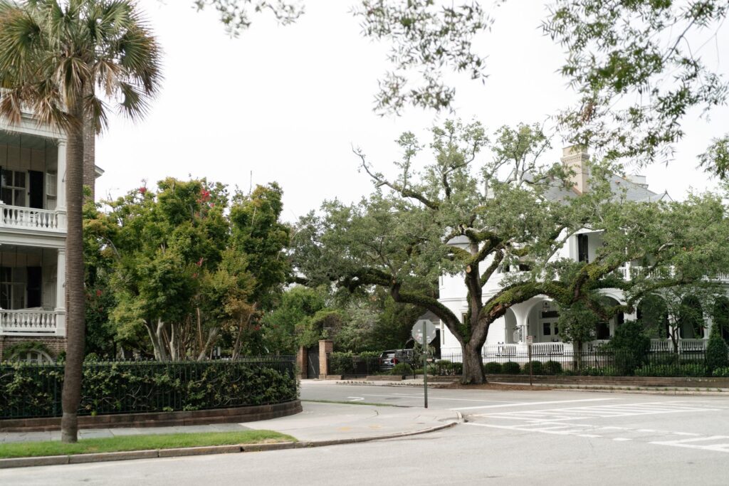 A quiet, tree-lined neighborhood with large, white houses featuring spacious porches. The street corner has manicured bushes and a crosswalk. The area is dotted with greenery, including tall trees and leafy branches. The overall scene is serene and residential.